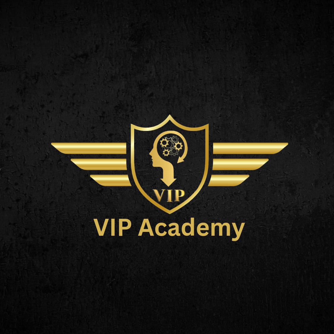 Vip Academy